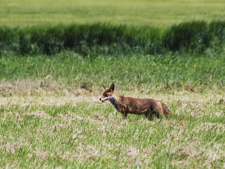Il est nécessaire qu'un maximum d'exploitants agricoles répondent à l'enquête.