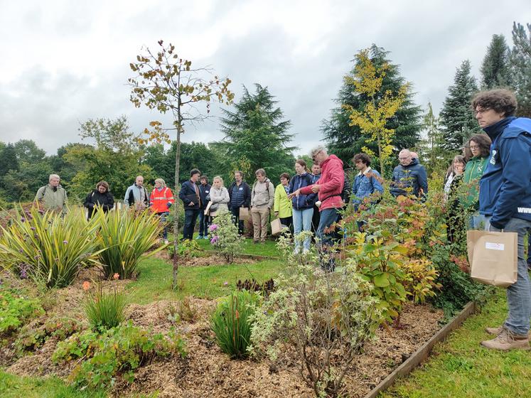 Certains participants ont pu découvrir le programme Penstemon : plateforme paysagère composée de 10 mini-jardins associant divers végétaux (vivaces, arbustes, arbres) dans un triple objectif de zéro intrant, zéro phyto et un entretien minimum.