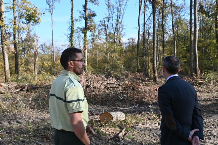 Mercredi 15 octobre, Joseph Zimet, préfet de Loir-et-Cher, est venu en forêt de Boulogne pour constater lui-même les dégâts en présence des employés de l'Office nationale des forêts.
