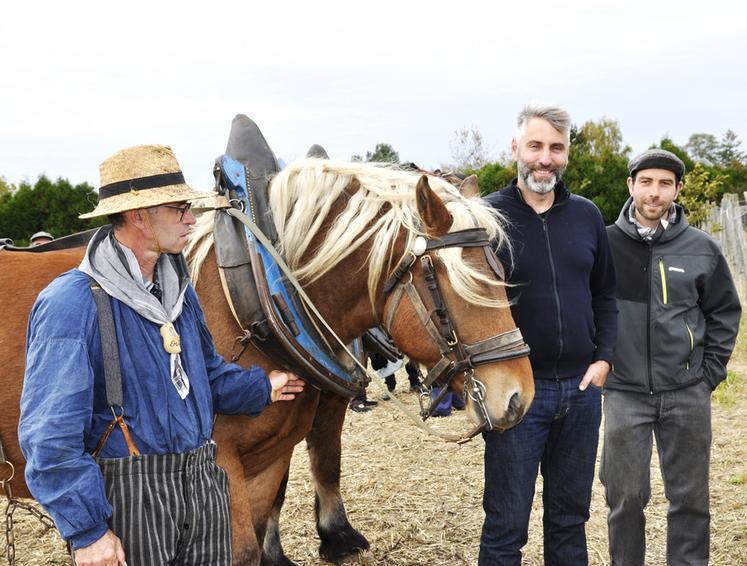 Ferme de Filbois, à Aufferville (Seine-et-Marne). À côté de la vente des produits de terroir, dont sa viande d'agneau et de volaille, cette ferme d'élevage avait invité un voisin de Thoury-Férottes, Éric Perdereau, qui travaille avec des chevaux de trait, pour une démonstration de labour. Un grand succès et une découverte pour beaucoup de jeunes et moins jeunes nés avec le tracteur.