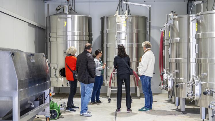 Domaine Delorozoy, à Montdauphin (Seine-et-Marne). Visite du chai du domaine où les premières vignes ont été plantées en 2021.
