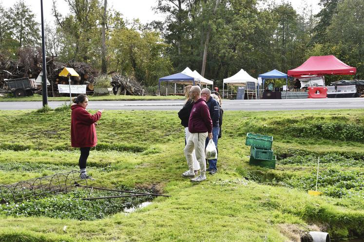La Cressonnière du moulin du ruisseau, à Courances (Essonne). C'est en famille que les Taillebuis ont fait découvrir le cresson avec une visite d'une parcelle, mais aussi avec une dégustation de divers produits.