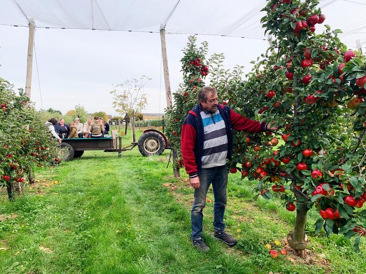 Les Vergers d’Ableiges, à Ableiges (Val-d’Oise). Petite balade dans une remorque tirée par un tracteur au milieu des vergers de la famille Barrois, arboriculteurs depuis plus de trente ans. 