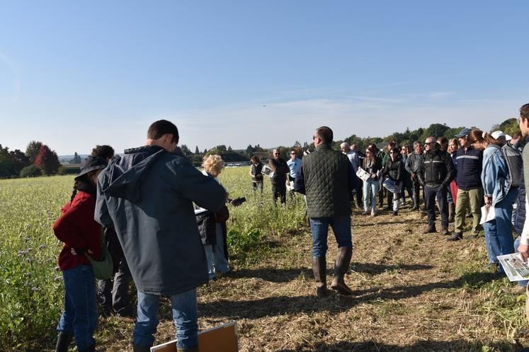 En collaboration avec plusieurs acteurs, dont la chambre d'Agriculture, la Ficif a mis en place des essais de semis par drone.