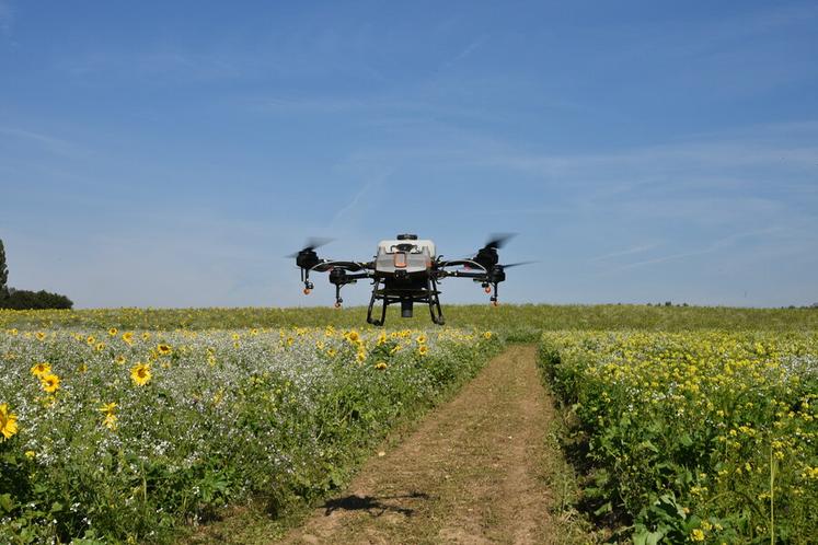 Le drone agricole utilisé pour les semis à la volée peut transporter 10 kg par vol.