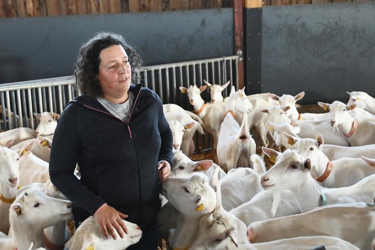 Claire Charrier a décidé de s'installer en tant qu'éleveuse caprine à Cormeray après une carrière en tant que conseillère au sein d'Agglopolys. 
