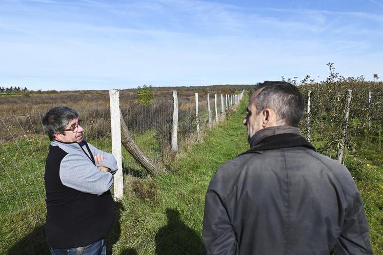 Damien et Patrick Croiset ont dû installer une clôture d'un coût de 4 000 euros afin d'empêcher les cervidés de détruire leur jeune verger.