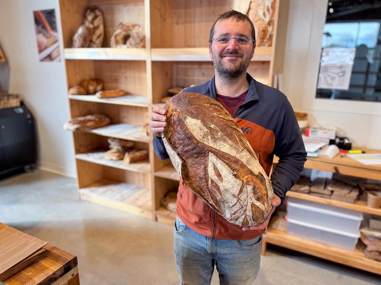 Mardi 4 novembre, à Broué. Le blé bio MHB* sélectionné par Adrien Pelletier est idéal pour fabriquer le pain au levain commercialisé dans sa boutique, La Brouette.