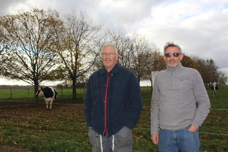 Michel et Laurent Delaleau ont simplifié leur système d’élevage.
