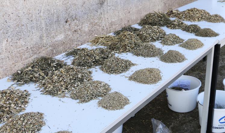 L’analyse des fourrages est nécessaire pour bien identifier leur composition, leur digestibilité et leurs valeurs alimentaires.