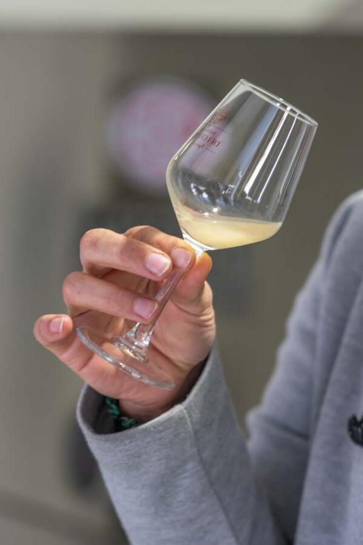 Passionnés et amateurs de vins sont invités à s'inscrire à la formation du 16 décembre.