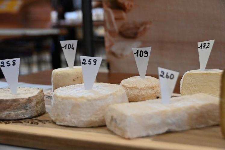 250 échantillons ont été dégustés par les membres du jury présents permettant de récompenser les 70 producteurs participants. 