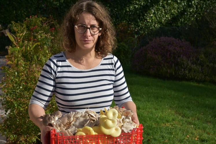 Productrice à Lailly-en-Val, Julie Pailloux développe une culture de champignons en caves, entre expérimentation et circuits courts.