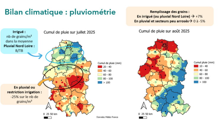 Bilan de pluviométrie de l’été 2025 et conséquences sur les composantes de rendement du maïs grain.