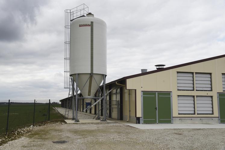 En cas de détection de salmonelles, l'éleveur est indemnisé uniquement s'il a signé et appliqué la charte de bonnes pratiques en élevage. 