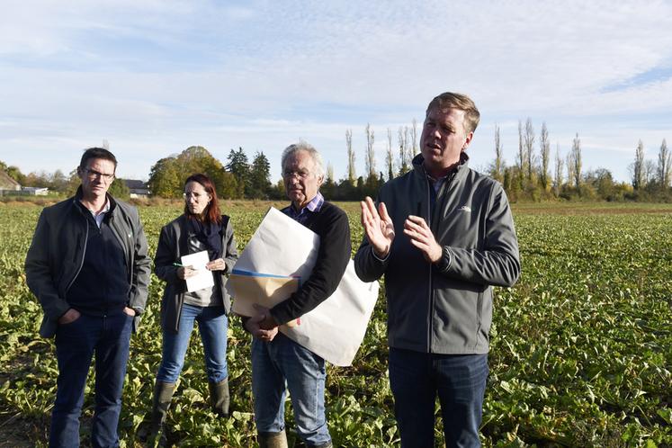 Courpalay, mardi 4 novembre. De g. à d., Cyrille Milard, Milène Grapperon, Jean-Philippe Garnot et Fabien Hamot dans une parcelle présentant des ronds de jaunisse malgré différentes interventions.