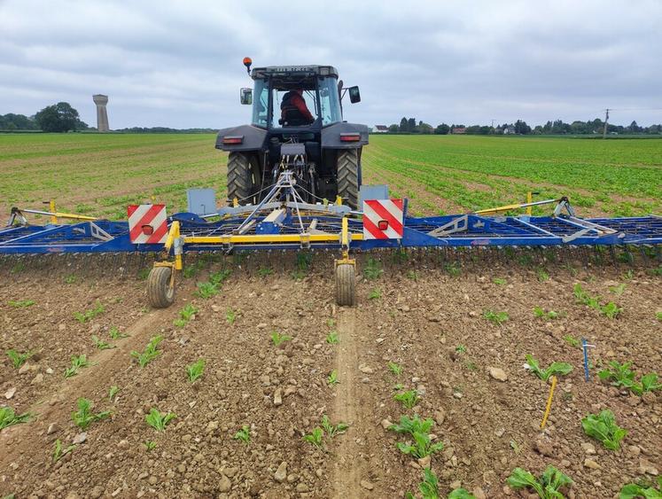 Qualité du lit de semences et homogénéité sont cruciales pour intervenir au bon moment.
