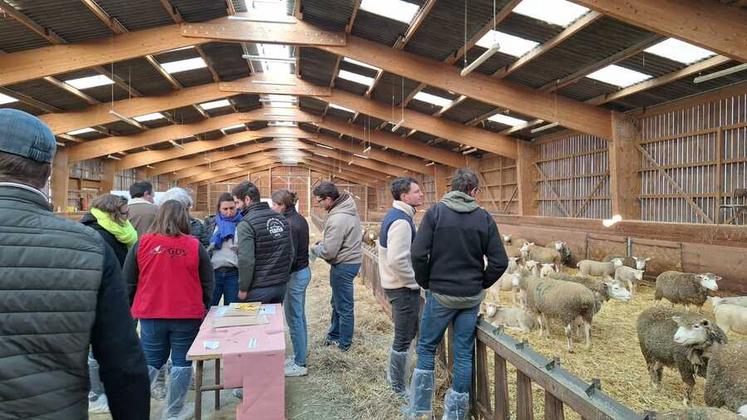Mardi 18 novembre, à Amilly. Organisée dans le cadre du projet DYVR*, la journée a permis d’aborder l’agrivoltaïsme, l’économie des filières viandes rouges et les enjeux sanitaires, en présence d'une centaine de participants.