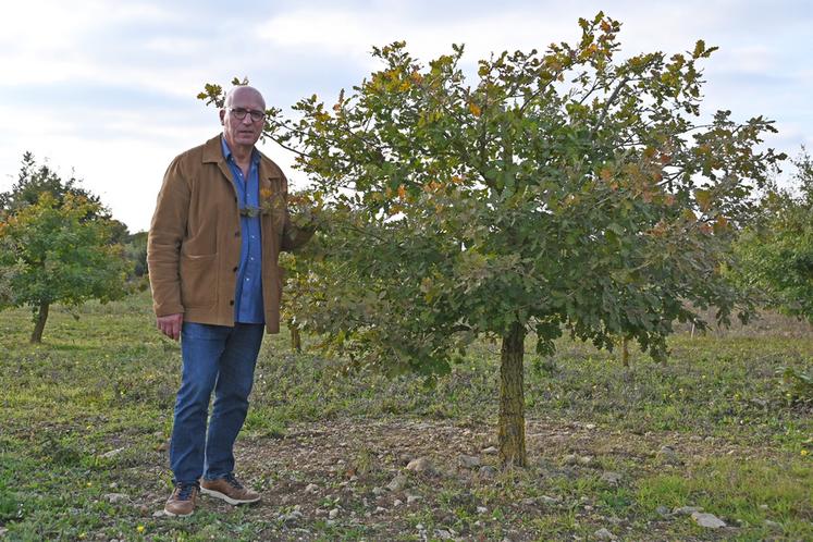 Bernard Doussineau est trufficulteur sur une parcelle de 3,5 hectares à Villeromain depuis plus d'une quarantaine d'années.