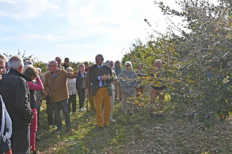 Le 10 octobre, à Villeromain. À la suite de leur assemblée générale, les propriétaires forestiers privés de Loir-et-Cher ont visité la Truffière des Banchets. 