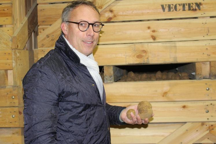 Dans l’ancien bâtiment réfrigéré, un traitement antigerminatif devrait être bientôt déclenché sur les pommes de terre destinées à la fabrication de chips.