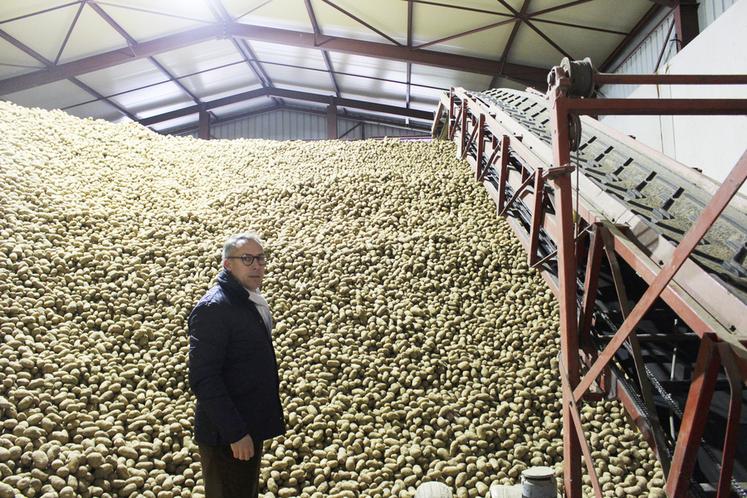 Le nouveau bâtiment ventilé assure le stockage des pommes de terre achetées par McCain.