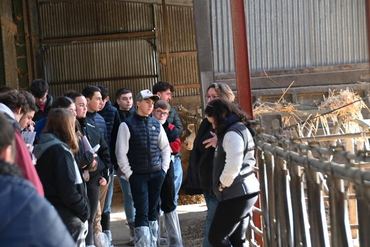 Mardi 9 décembre, à Montoire-sur-le-Loire. Lors de la matinée allaitante, une trentaine d'élèves du lycée agricole de Montoire étaient présents.