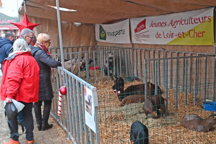 Les visiteurs ont pu profiter de la mini-ferme installée devant la Halle de Vendôme. Nombreux ont été les curieux à s’arrêter pour caresser les animaux. 
