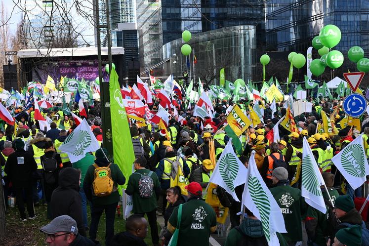 Avec plus de 10 000 manifestants revendiqués, la journée du 18 décembre s'inscrit comme une journée de mobilisation historique à Bruxelles.