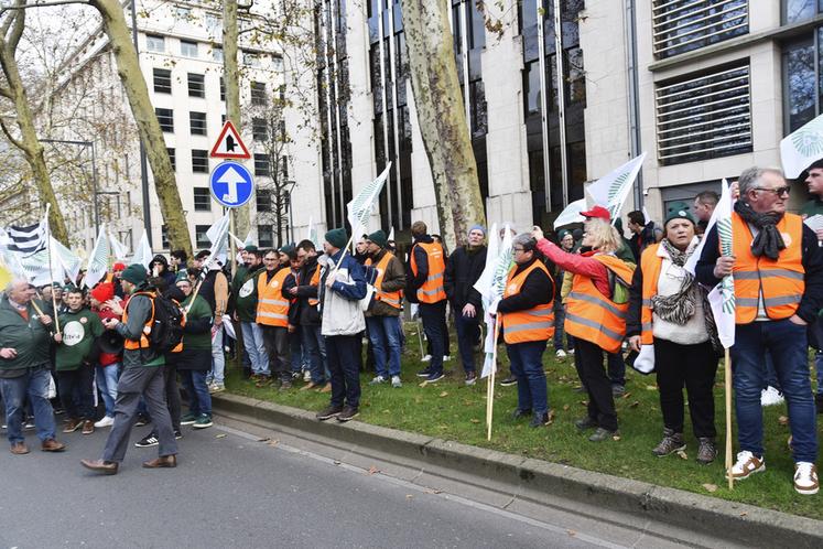 Les agriculteurs du sud Seine-et-Marne, dont la présidente de la coopérative Terres Bocage Gâtinais, ont révêtu un chasuble orange estampillé FDSEA 77, comme l'ensemble de leurs collègues du département. 