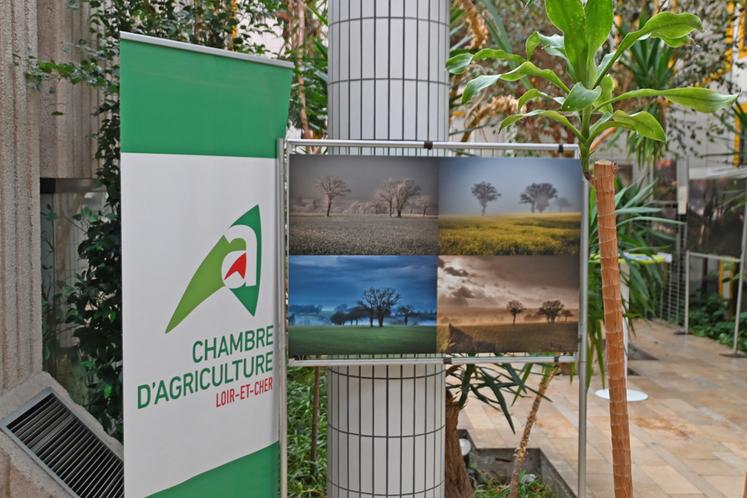 Vendredi 12 décembre, à Blois. La chambre d'Agriculture de Loir-et-Cher organisait le vernissage de son exposition photographique Paysans, paysages au sein de ses locaux. L'exposition est visible jusqu'au 23 janvier. 