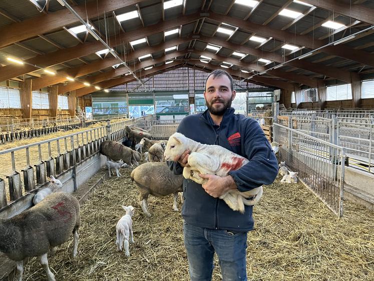 Mercredi 10 décembre, à Leudeville (Essonne). Matthieu Ode a réalisé plusieurs agnelages cet hiver.