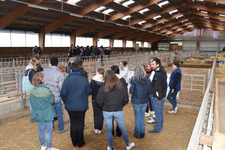 Mercredi 10 décembre, à Leudeville (Essonne). La troisième Journée régionale ovine a réuni une centaine de personnes.