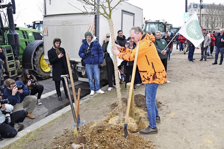 Les syndicats locaux ont symboliquement planté « l'arbre de la Concorde », un pommier, devant l'Assemblée nationale, en espérant que les députés en prennent soin pour qu'il fournisse des fruits dans les années à venir. « Il aura besoin de soins et non de bonnes paroles, tout comme les agriculteurs », précise Laurent Chatelain, pépiniériste.