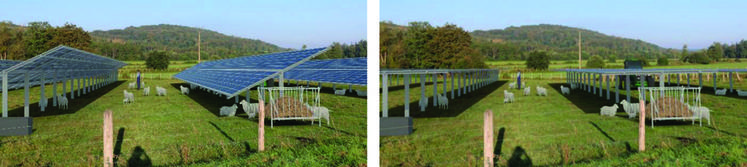 L’idée du projet est de faire coexister production d'énergie photovoltaïque et exploitation agricole (élevage ovin et cultures maraîchères), en gardant l’agriculture comme activité principale, conformément à la réglementation agrivoltaïque.