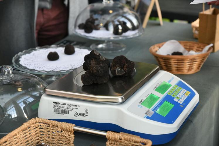 Samedi 17 janvier, à Orléans. Malgré une saison délicate, les truffes de Beauce-Val de Loire étaient bien au rendez-vous sur les balances du marché.