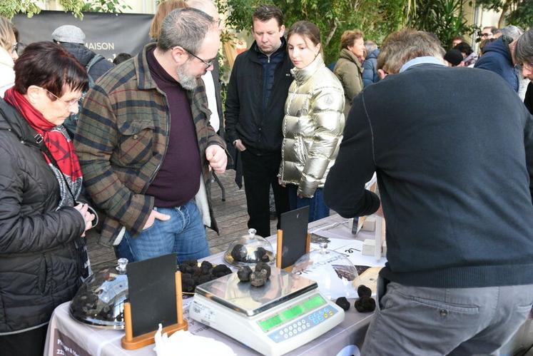 Samedi 17 janvier, à Orléans. Une heure après l’ouverture du marché, une large partie des truffes proposées à la vente avait déjà trouvé preneur, illustrant l’intérêt du public malgré une récolte limitée cette année.