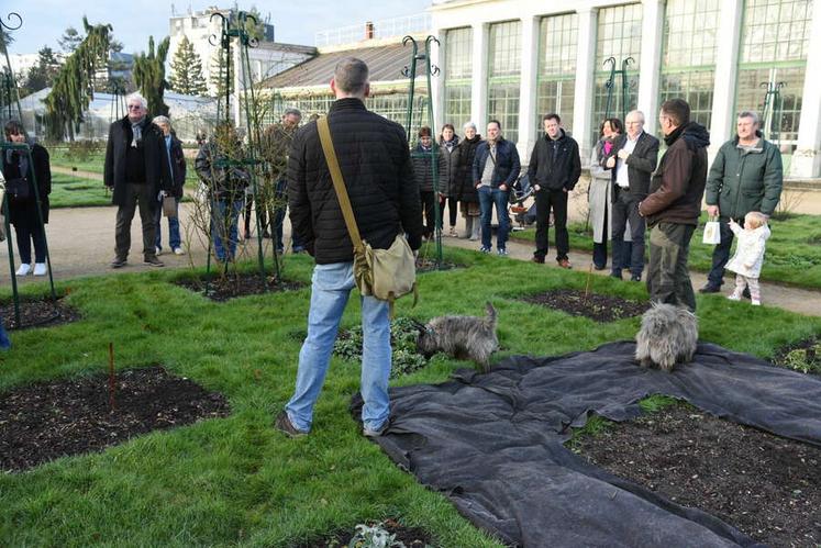 Tout au long de la matinée, des démonstrations de chiens truffiers ont été proposées au public, mettant en lumière le travail de recherche et de dressage indispensable à la récolte de la truffe.