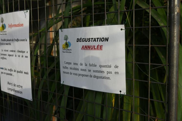 La dégustation habituellement proposée n’a pas pu être organisée cette année, en raison d’une récolte insuffisante pour assurer l’animation.