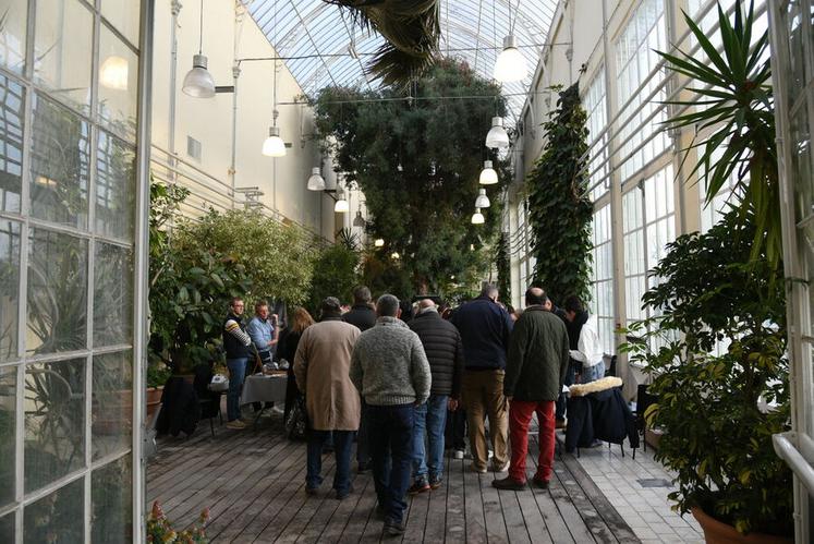 Le marché s’est tenu dans l’enceinte majestueuse de la serre du Jardin des plantes d'Orléans, offrant un cadre particulièrement valorisant à l’événement.