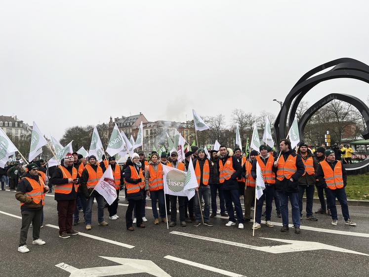 Strasbourg, mardi 20 janvier, 9 heures. Partie à une heure du matin en car, la délégation seine-et-marnaise arrive sur site. D'autres les rejoindront en train ou en voiture.
