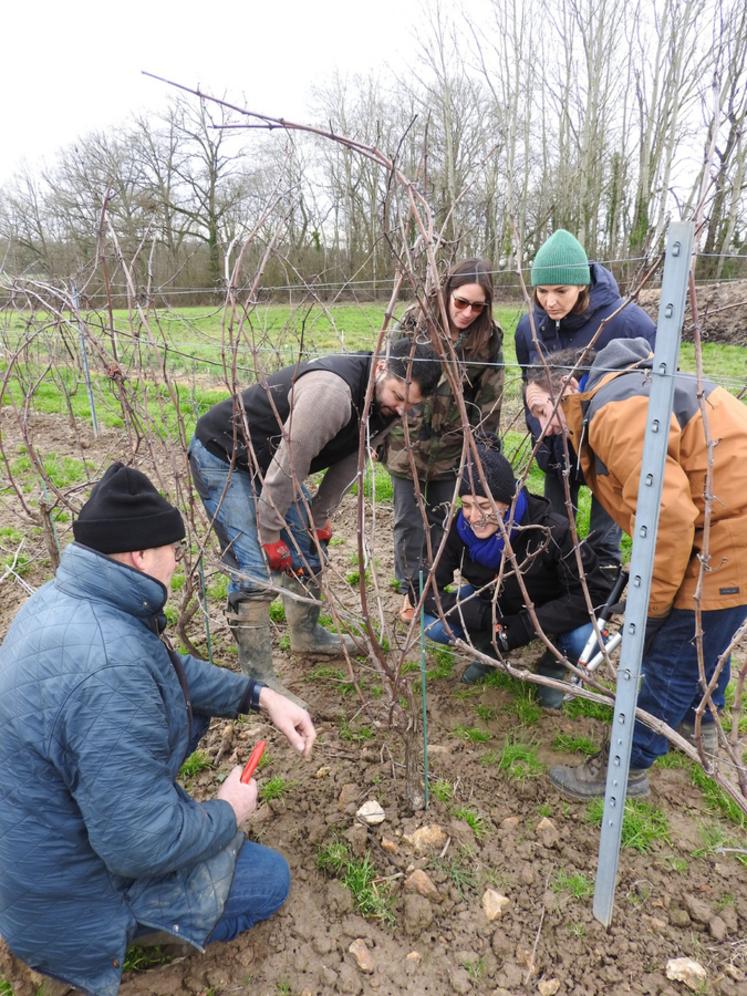 Mercredi 14 janvier, à Beautheil-Saints (Seine-et-Marne). 19 vignerons ont participé au premier tour de vignes de l'année organisé par la chambre d'Agriculture.
