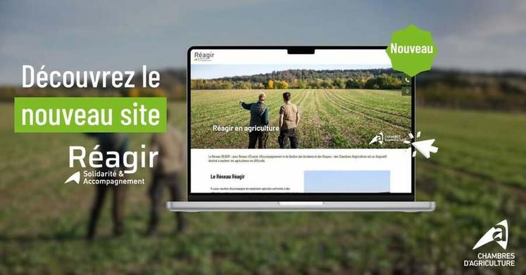 Le nouveau site Réagir centralise les contacts et les informations utiles pour engager une démarche d’accompagnement en toute confidentialité.