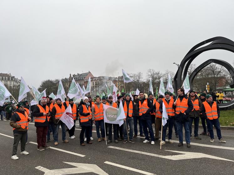 Mardi 20 janvier 2026, à Strasbourg. Les agriculteurs se réunissent. Ici, la délégation de Seine-et-Marne.
