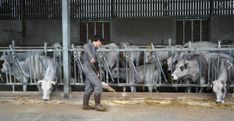 Parcoursup, la plateforme de préinscription en première année de l'enseignement supérieur, a ouvert le 19 janvier. Les candidats ont jusqu'au 12 mars pour formuler leurs vœux.