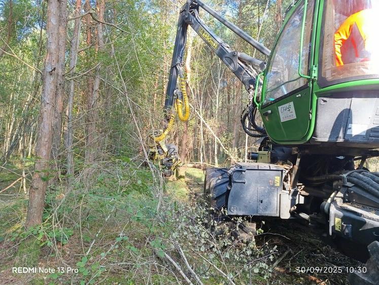 À Bellegarde, le CFA agricole du Loiret forme par apprentissage aux métiers forestiers, de la sylviculture à la conduite d’engins, en lien étroit avec les acteurs professionnels de la filière.