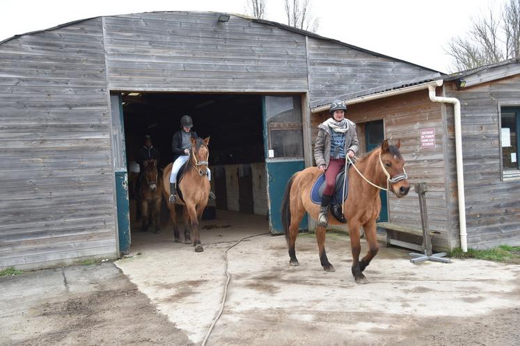 Barbizon (Seine-et-Marne), jeudi 5 février. Départ pour une balade classique pour deux cavaliers débutants.
