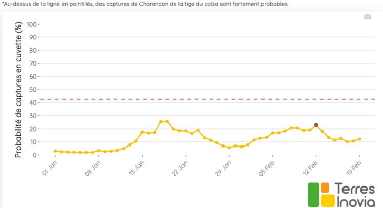 L'outil Prédiction des vols de ravageurs de Terres Inovia propose un graphique montrant l’évolution de la probabilité journalière de capture jusqu’à J+7, pour une commune donnée. Ici Vineuil.
