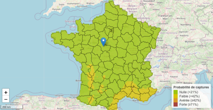 Cette semaine, l’OAD de Terres Inovia ne prévoit pas de vols de charançons de la tige du colza dans la région.