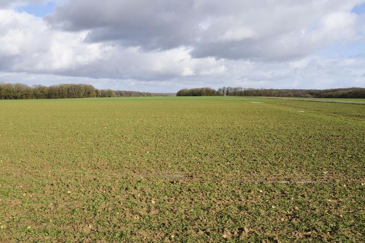 Saint-Martin-de-Bréthencourt (Yvelines), lundi 16 février. L'eau commence à stagner en surface à la suite des pluies du mois de février.